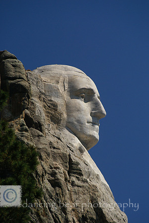 Washington Profile