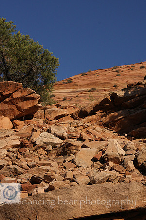 Zion Hillside