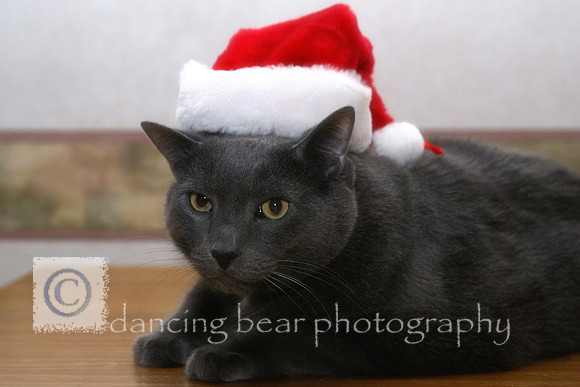 Cranky Pants Santa