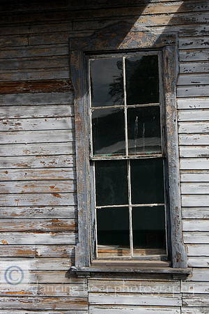 Window into the Past
