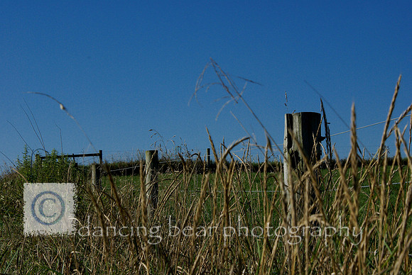 Field