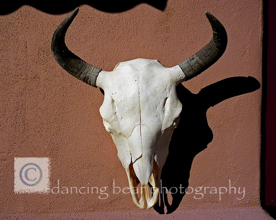 Skull